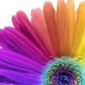 Meet your Posher, Daphne